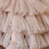 ONEAKIDS Baby & Toddler Outfits Sequin Princess Cake Dress in Beige Pink
