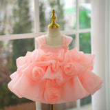 Princess’ Sparkly Blossom Dress