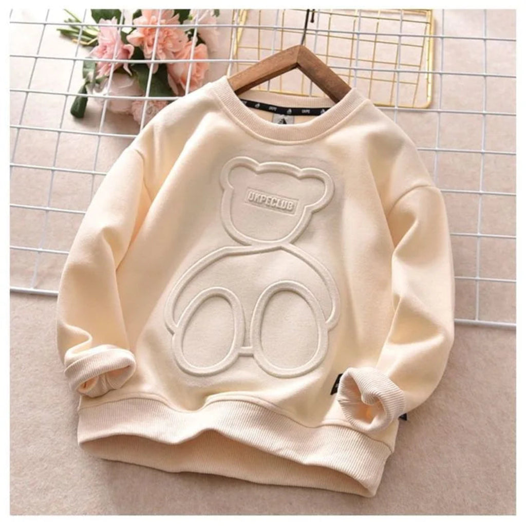 Embroidered Soft Knit Pullover