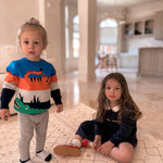 Animal Knit Boys' Sweater