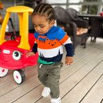 Animal Knit Boys' Sweater