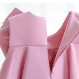 Bella Flower Girl / Party Dress