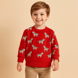 Zebra Boys' Cotton Sweatshirt