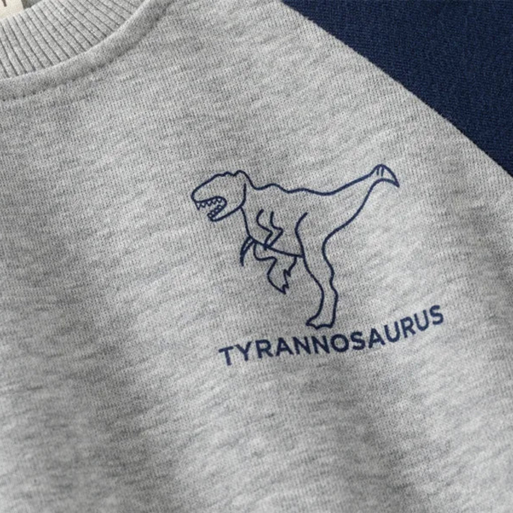 Colorblock Dino Sweater & Pants Set