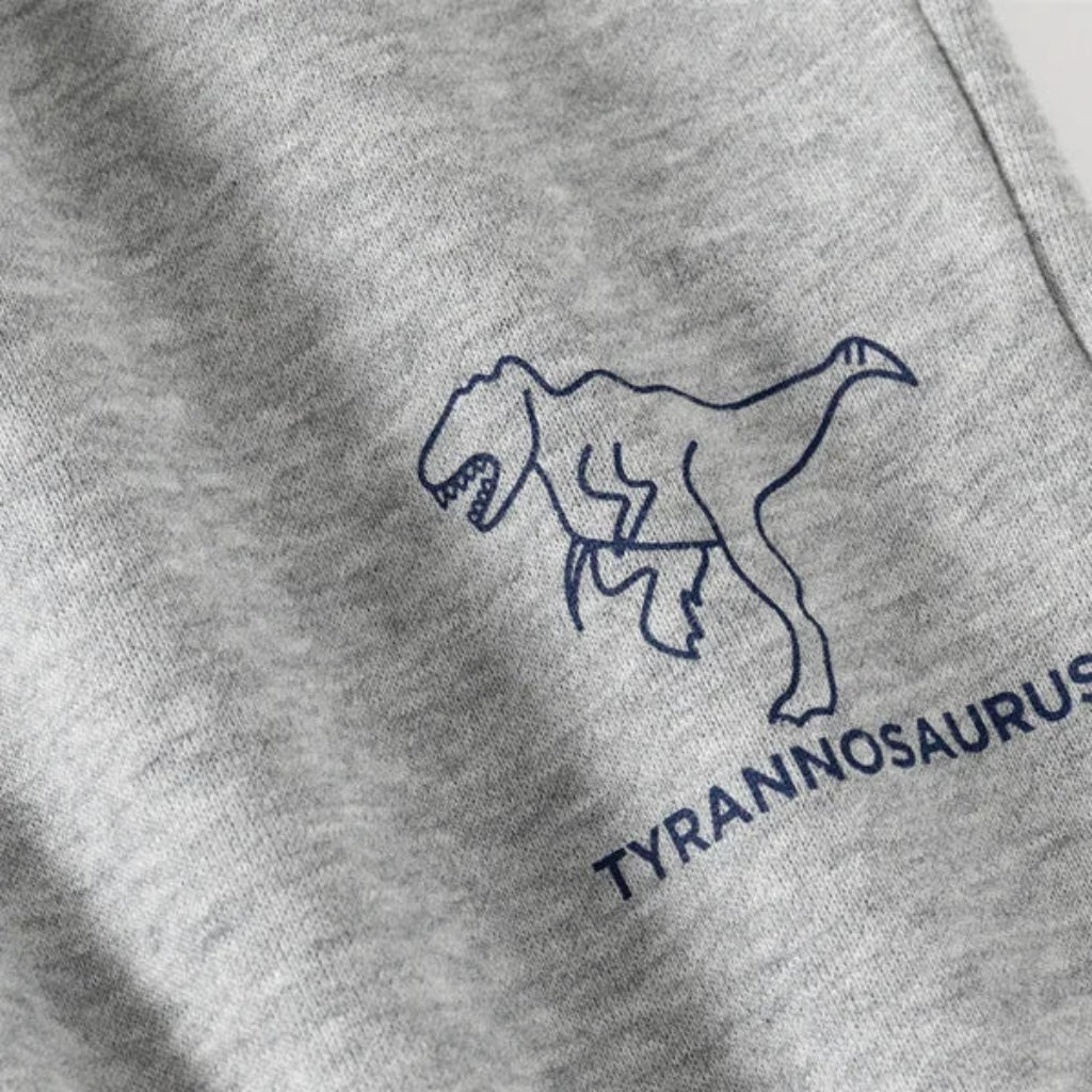 Colorblock Dino Sweater & Pants Set