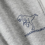 Colorblock Dino Sweater & Pants Set