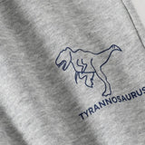 Colorblock Dino Sweater & Pants Set