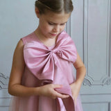 Bella Flower Girl / Party Dress