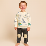 Dinosaur Spinosaurus Boys' Matching Set