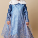 Frozen Elsa Premium Quality Girls' Dress
