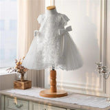 Short Sleeve Flower Girl Lace Princess Dress