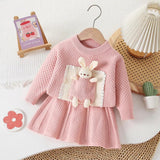 Toy Bunny Sweater & Skirt Set