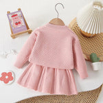 Toy Bunny Sweater & Skirt Set