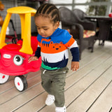 Animal Knit Boys' Sweater