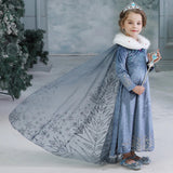 Frozen Elsa Premium Quality Girls' Dress
