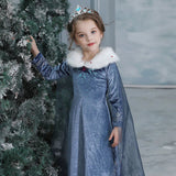Frozen Elsa Premium Quality Girls' Dress