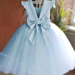 ONEAKIDS Baby & Toddler clothing 2T / BLUE FLOWER GIRL Dress With a Fluttery Tulle Skirt