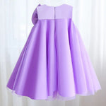 ONEAKIDS Baby & Toddler clothing Bella Flower Girl / Party Dress