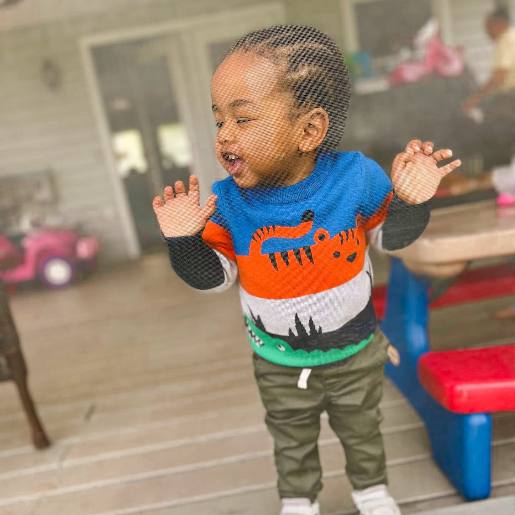 ONEAKIDS Baby & Toddler Tops Animal Knit Boys' Sweater