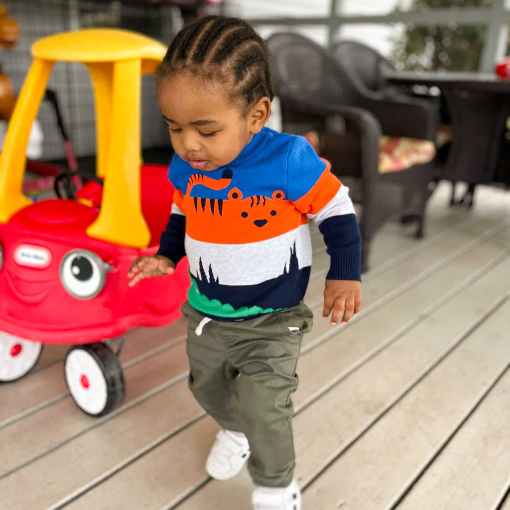 ONEAKIDS Baby & Toddler Tops Animal Knit Boys' Sweater